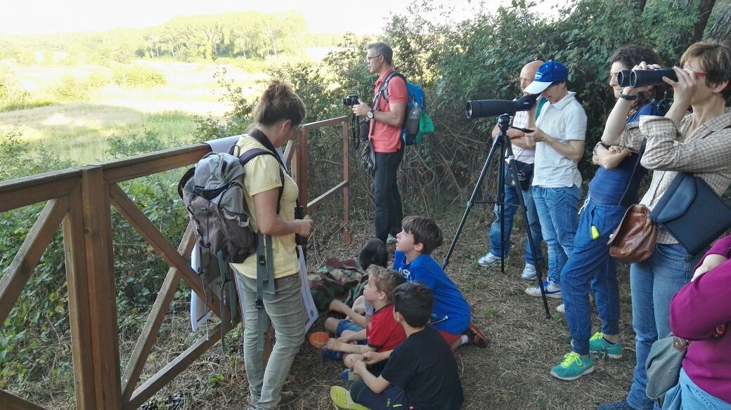 birdwatching grandi e piccini